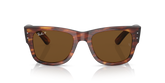 Anteojos de Sol Ray-Ban Mega Wayfarer RB0840S Polarizado