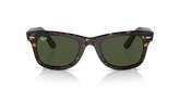 Anteojos de sol Ray-Ban Wayfarer RB2140, TRT SHN, GRN Lunavi